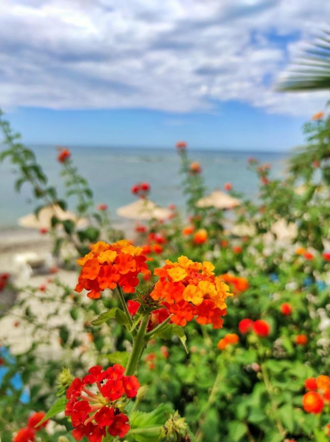 Kallmi View Eco Rooms Durres Luaran gambar